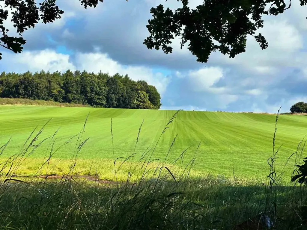 Turfworld_Landscaping_Turf-Seller