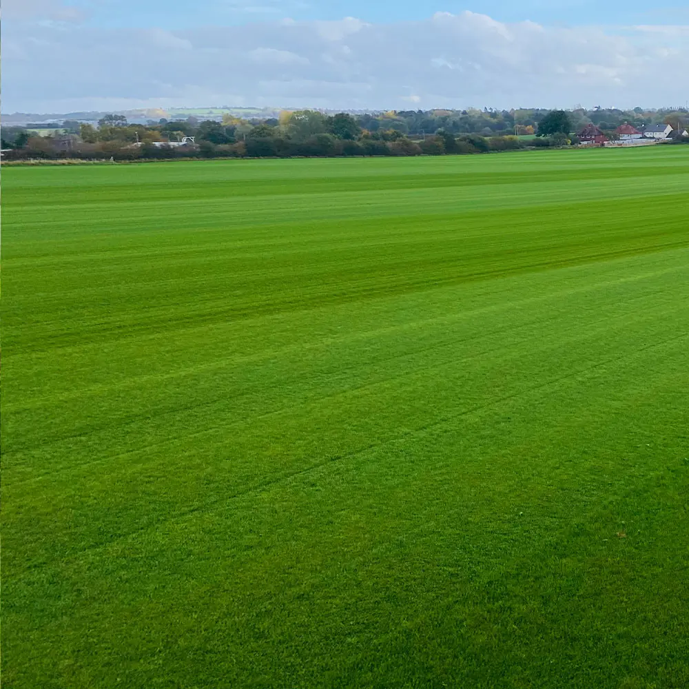 turf-turfworld-turf-roll-buy-turf-field